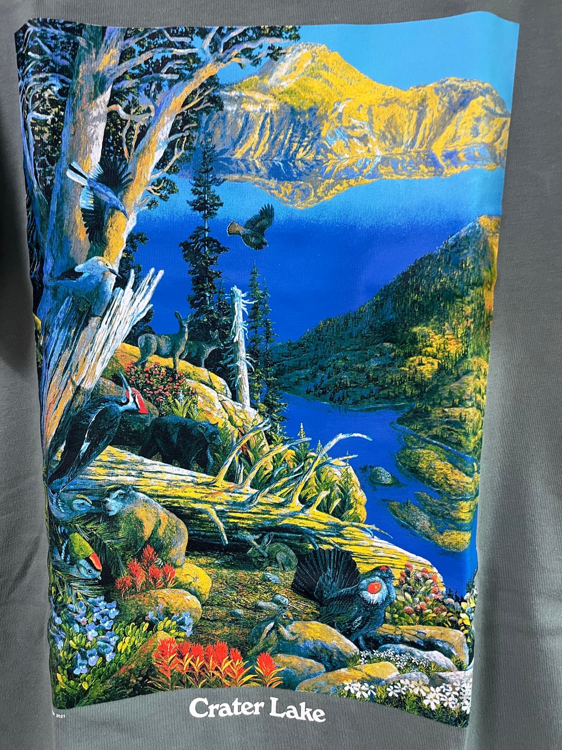 ACG 반팔 상품이미지2