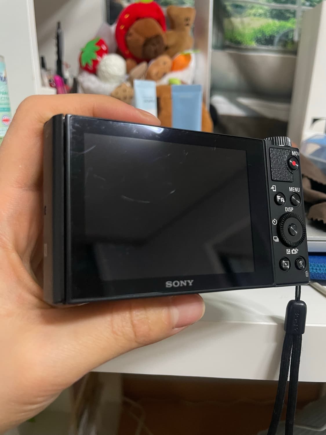 Sony cybershot dsc-wx500 상품이미지4