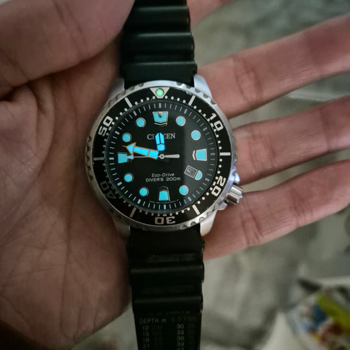 시티즌 프로마스터 에코드라이브(미니복어교환) 상품이미지1