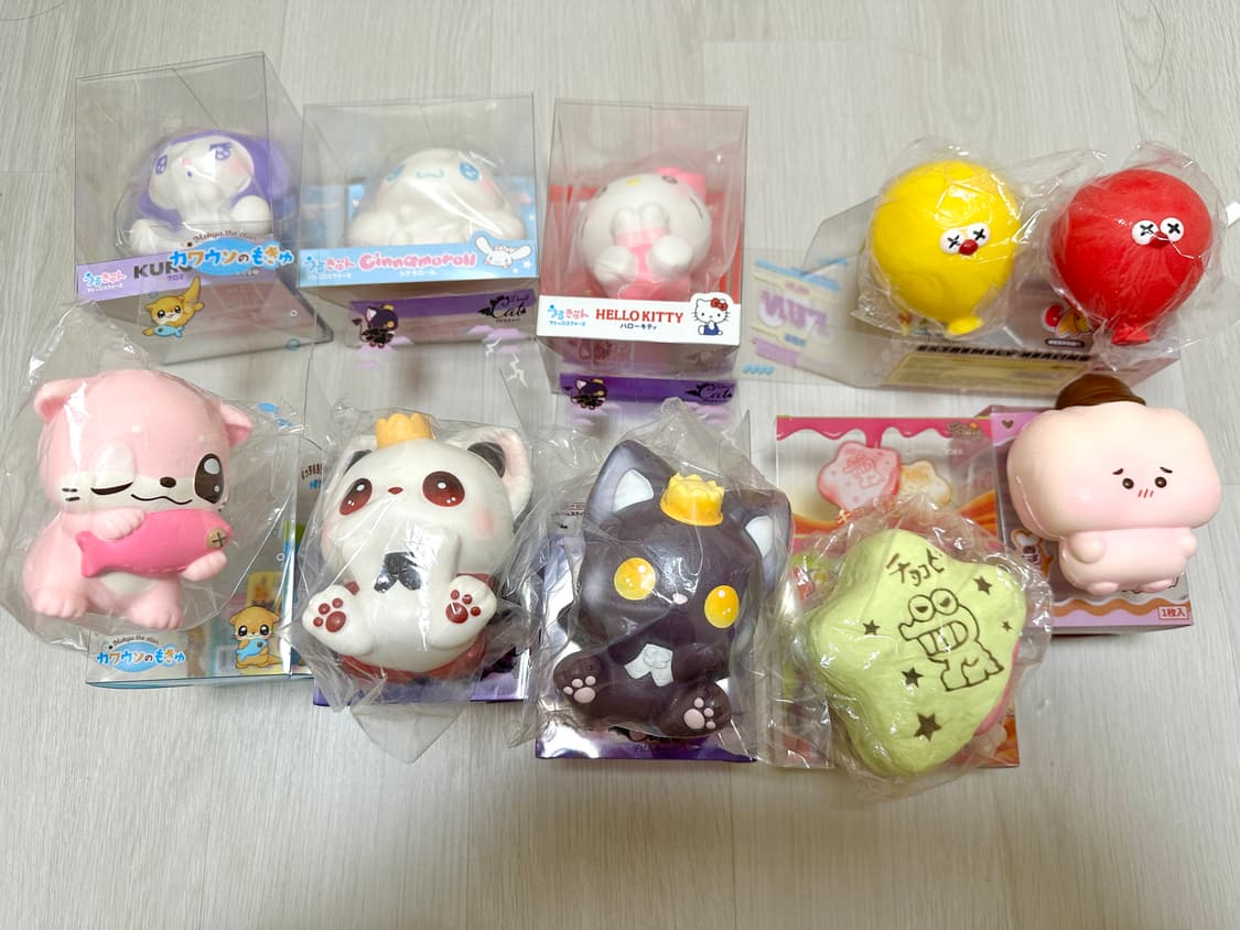 아이블룸 스퀴시 프리미엄 브랜드 스퀴시 상품이미지2