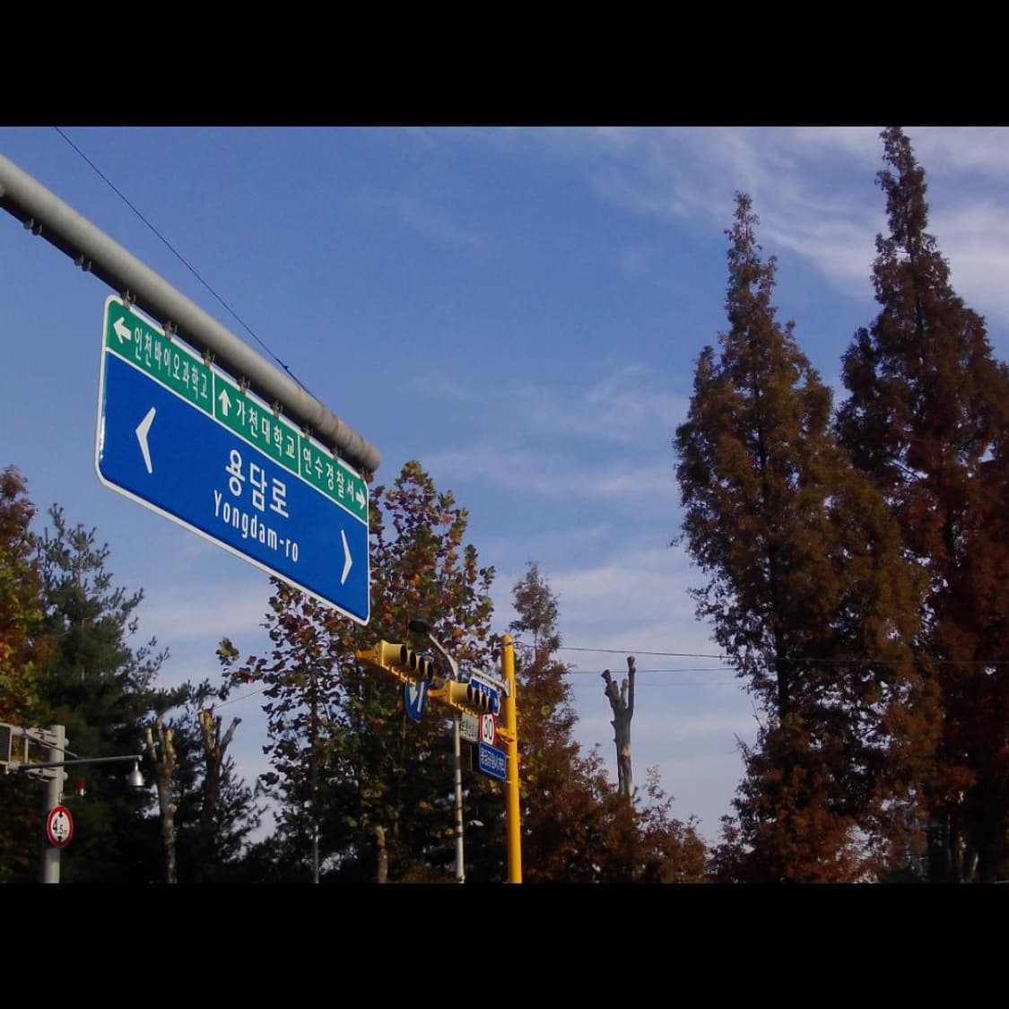 작례⭕️  켄코 DSC PR014  옐로우 캔디🍋 빈티지 디카  상품이미지8