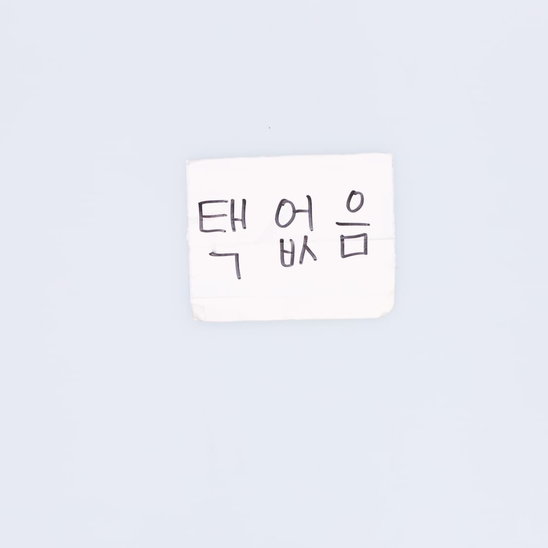 F 밴딩 트레이닝 팬츠 0423H1 상품이미지4