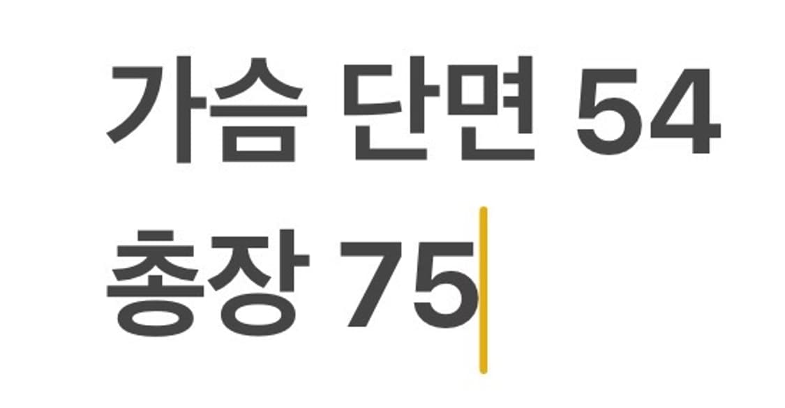 [ 정품/105 ] 아디다스 롯데자이언츠 반팔 야구 유니폼 b17 상품이미지6