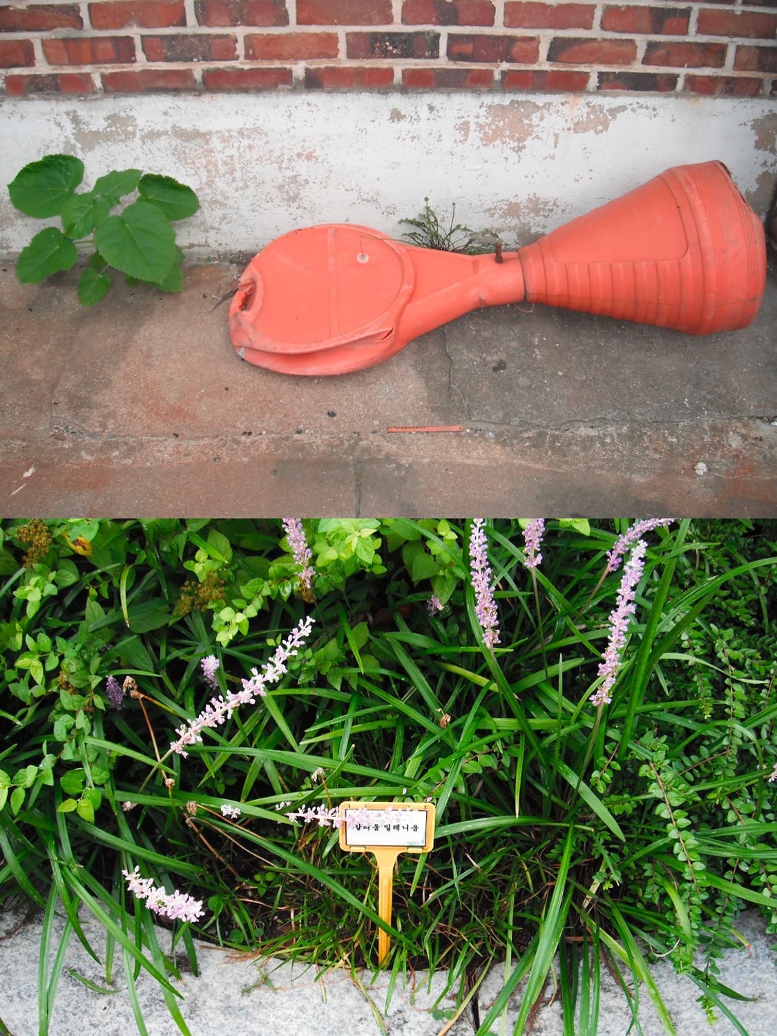 🧵 후지필름 파인픽스 XP10 🧵 풀박스 빈티지 디카 상품이미지7