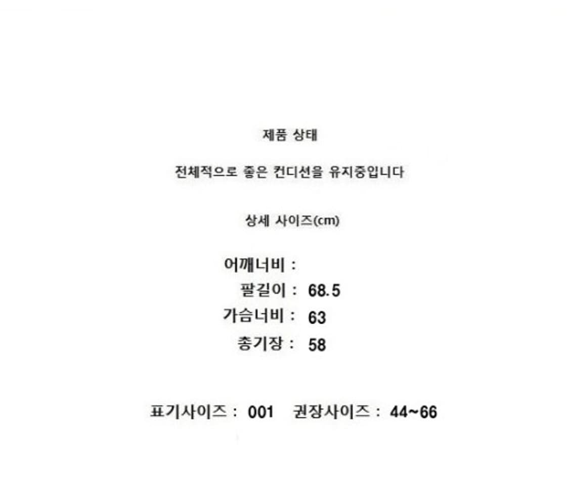 Danton (44~66) 단톤 셔츠 상품이미지8