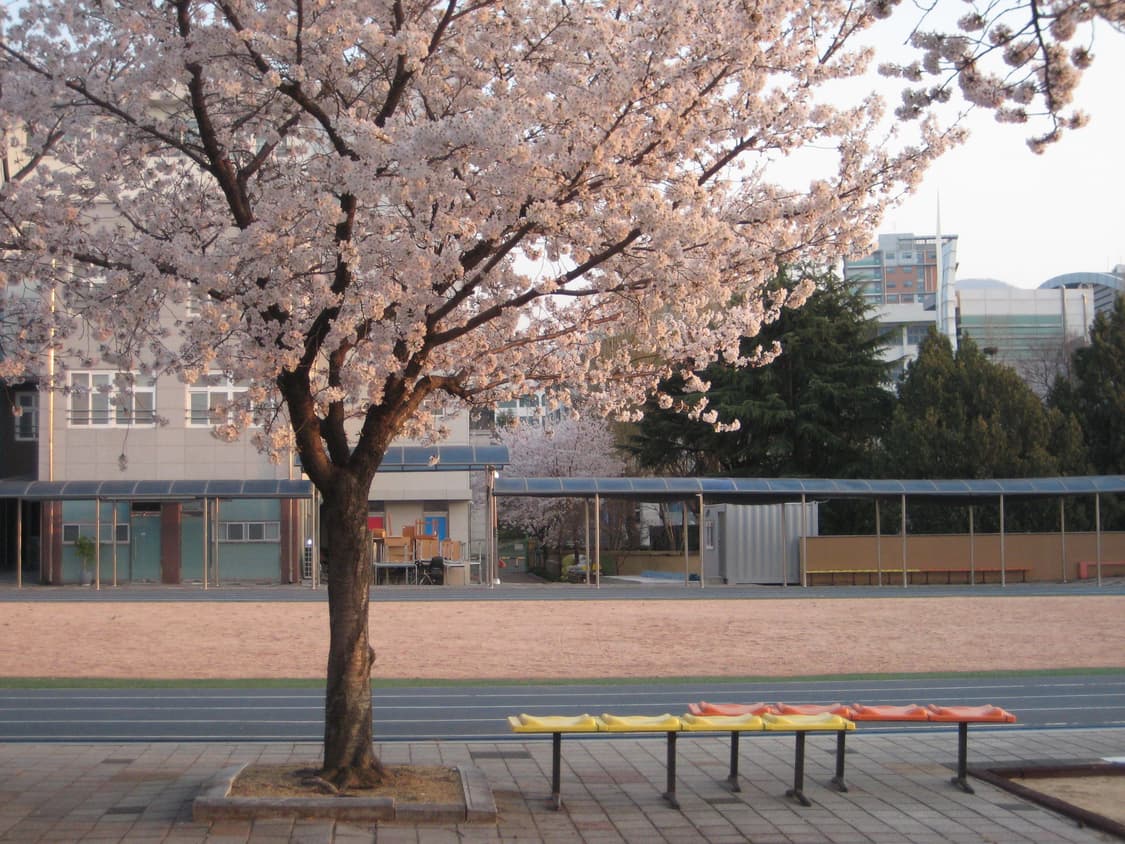 캐논 익서스 75 / CANON IXUS 75 디카 풀구성 상품이미지9