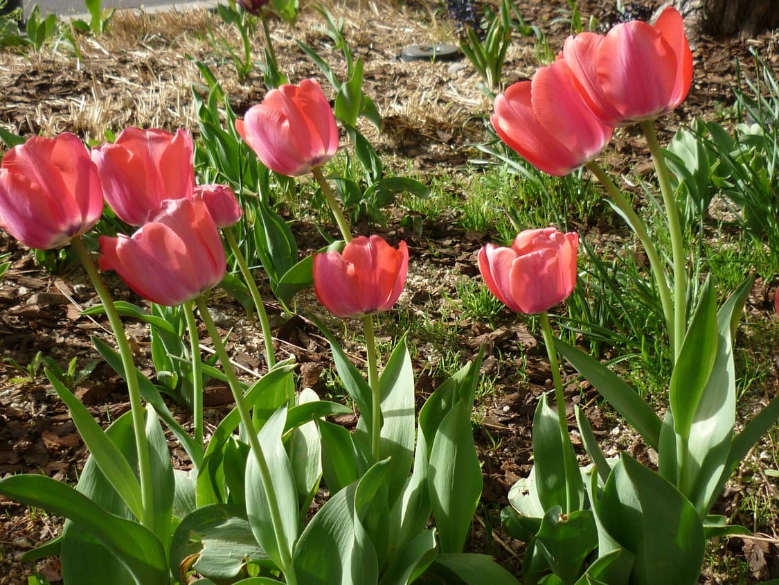 Panasonic DMC-sz3 상품이미지8