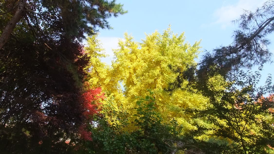 [민트급] 후지필름 파인픽스 Z800 EXR 핑크 디카🩷 (작례 O) 상품이미지6