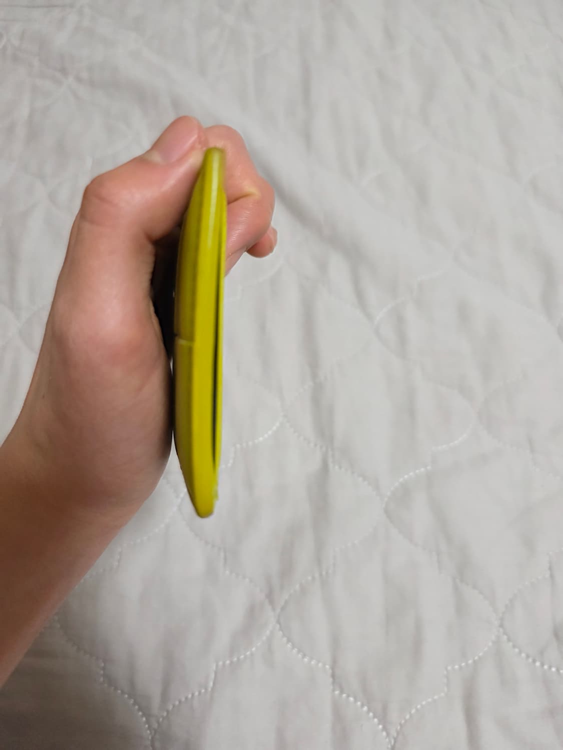 보테가베네타 카세트 카드지갑 키위 상품이미지5