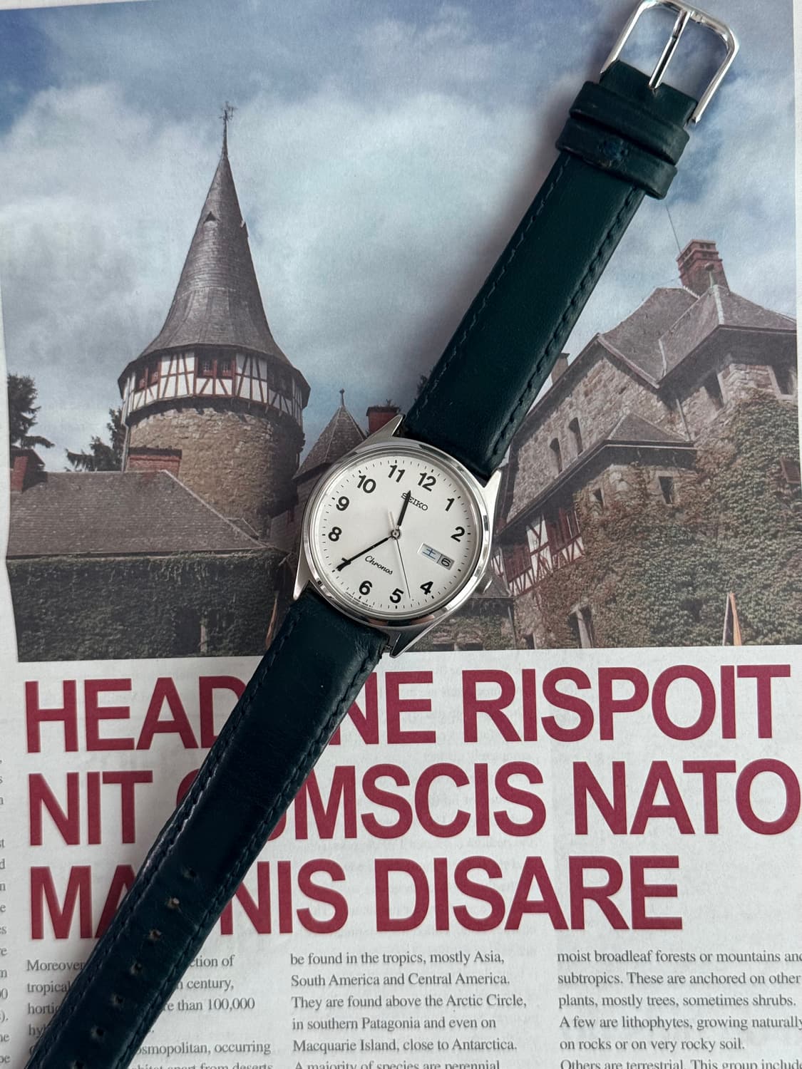 세이코 Seiko 크로노스 래더 상품이미지2