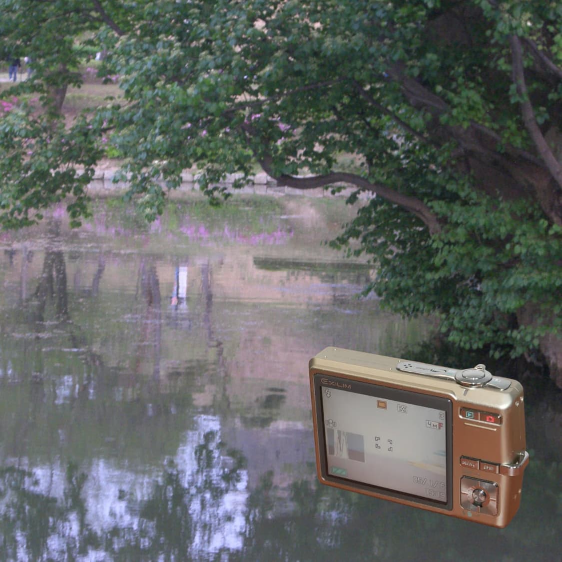 Casio EX-Z500 (✨A급/🎁풀패키지) 상품이미지7