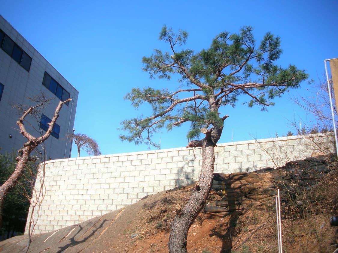 (작례!)Olympus VH-210디카 상품이미지4