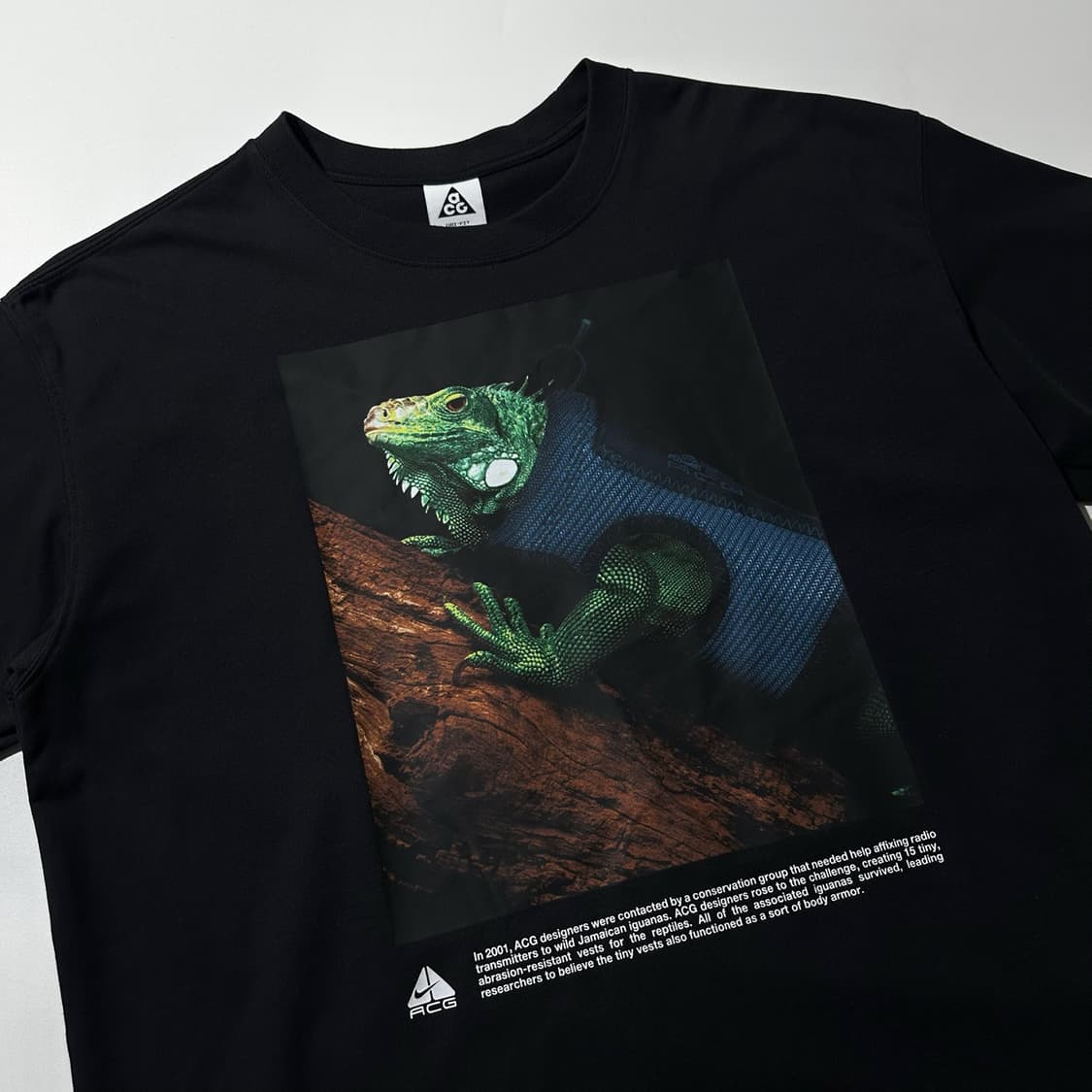 25ss 나이키 ACG 이구아나 반팔 티셔츠 블랙 상품이미지4