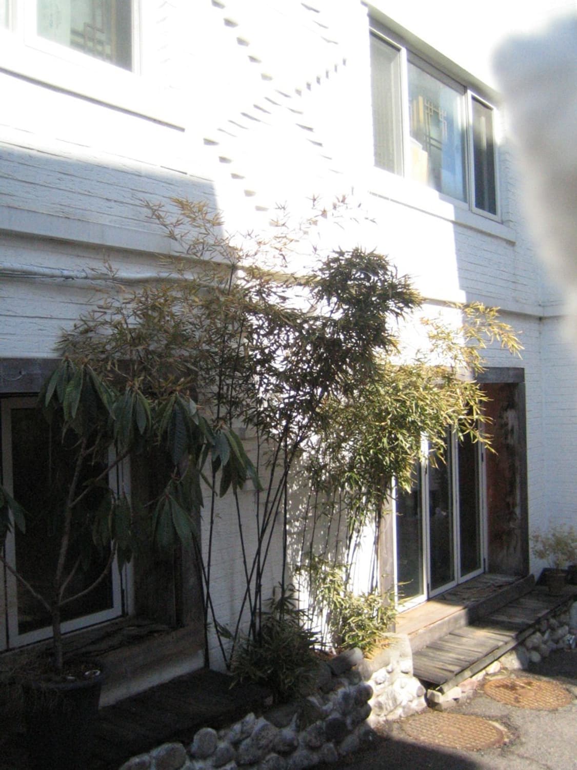 [작례O]Canon IXY50(IXY40)  상품이미지6