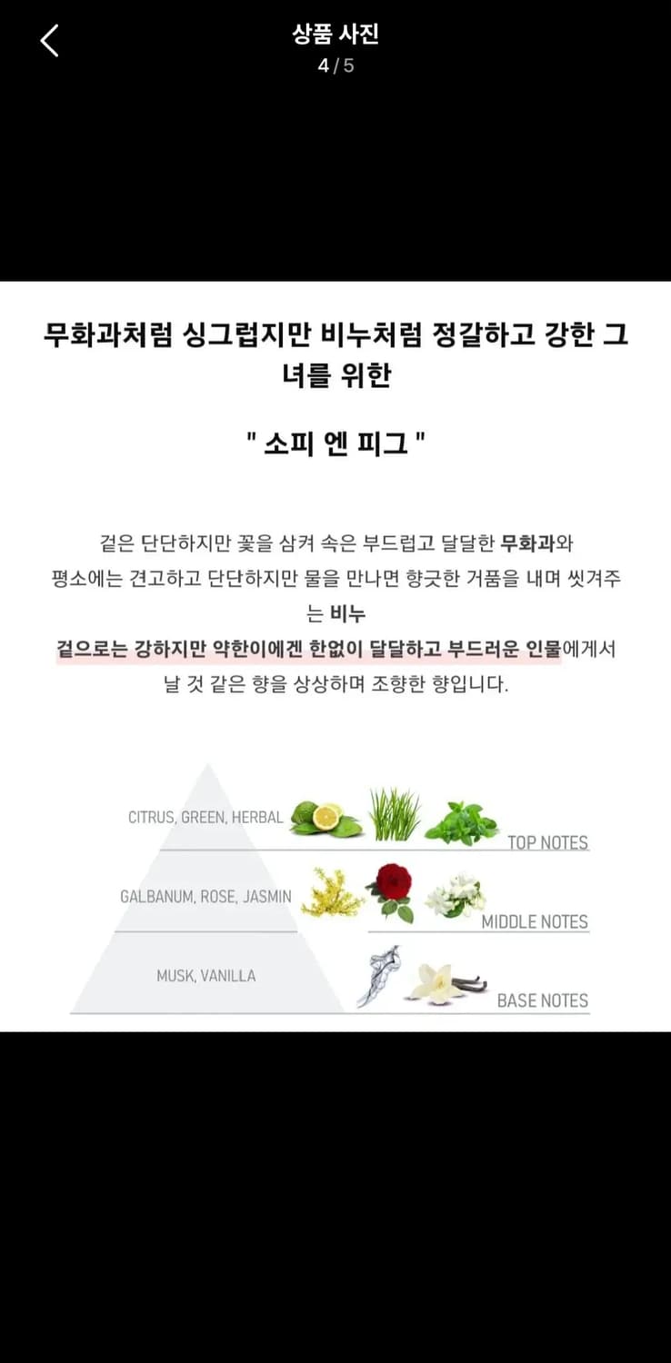 텀블벅 벨망 무화과 소피엔 피그 향수 상품이미지5