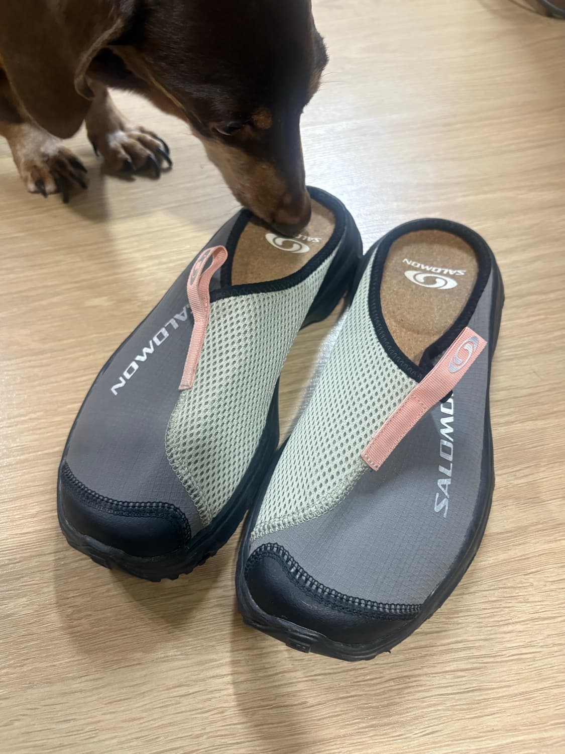 살로몬 RX 슬라이드 상품이미지2