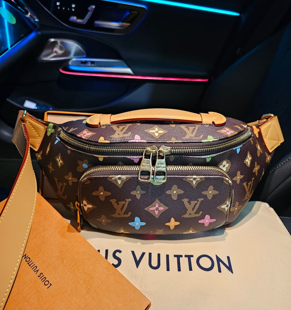 루이비통 타일러x퍼렐 강아지 초콜릿 러쉬 범백 토트백 상품이미지2