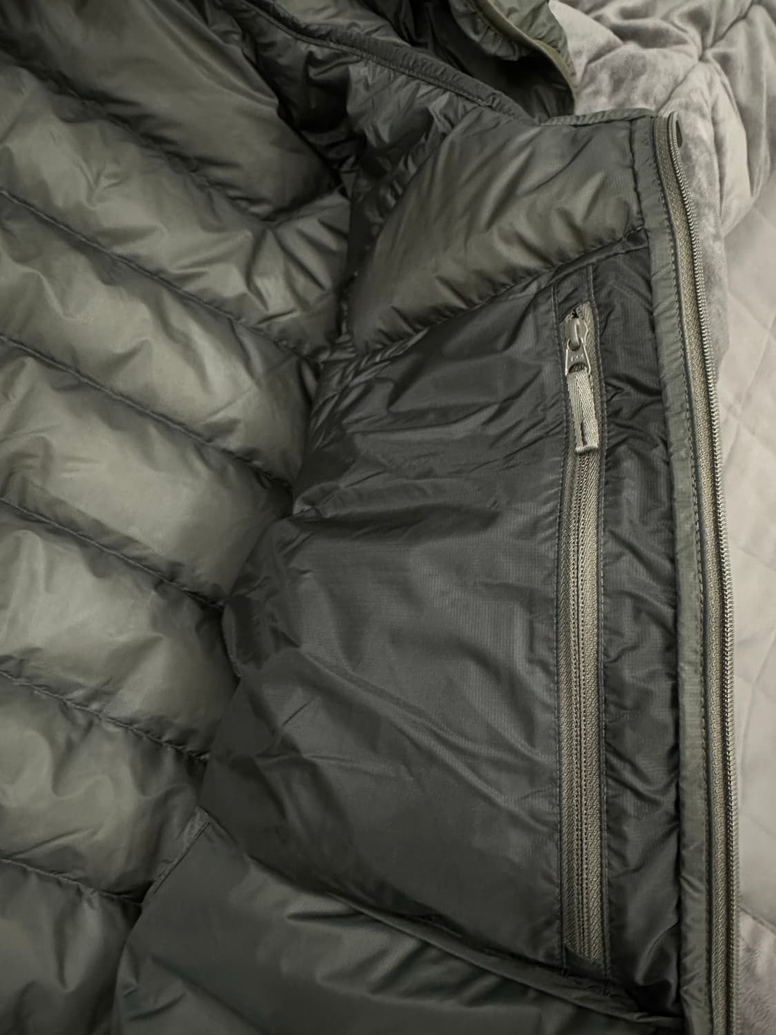 [L] 아크테릭스 세륨 포리지 베르베 상품이미지6