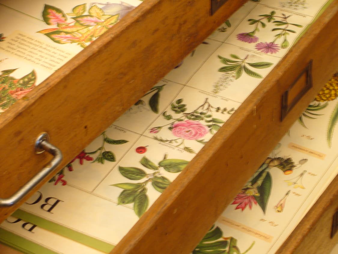 [추천템] 파나소닉 lumix DMC-LS1 핑크 빈티지디카  상품이미지5