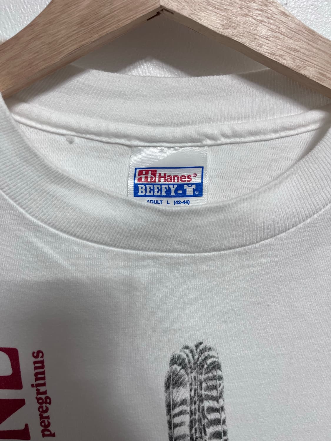 90s vintage hanes falcon t 상품이미지4