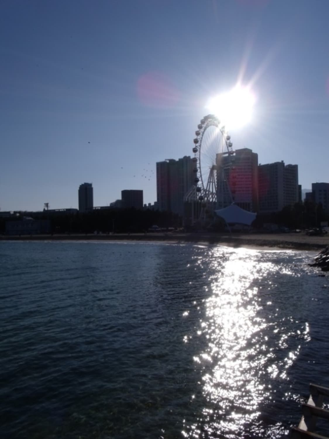 후지필름 파인픽스 j250 디카 (빈티지 카메라) 상품이미지7