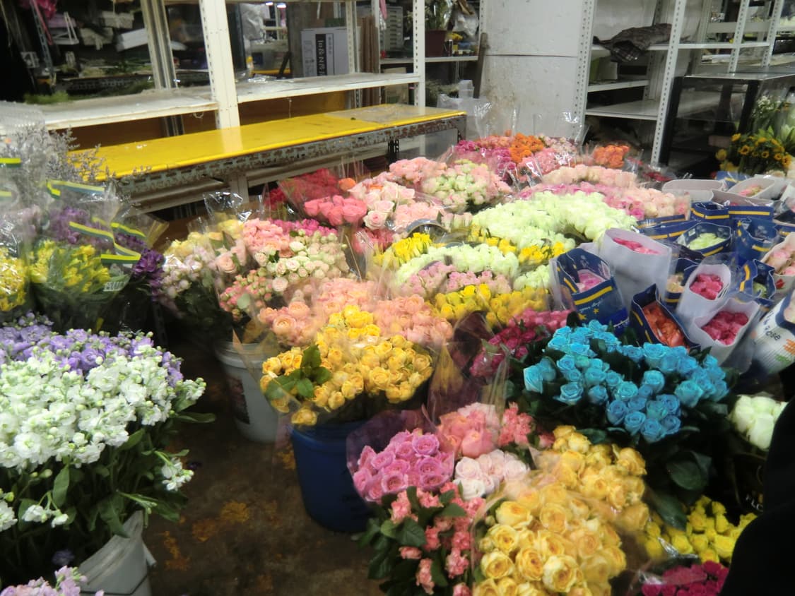 카시오 ex-h15 핑크 디카 (작례O) 상품이미지6