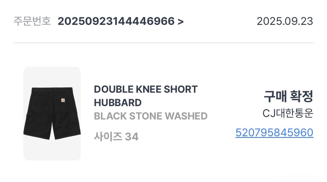 칼하트WIP 더블니 쇼츠 허버드  상품이미지5