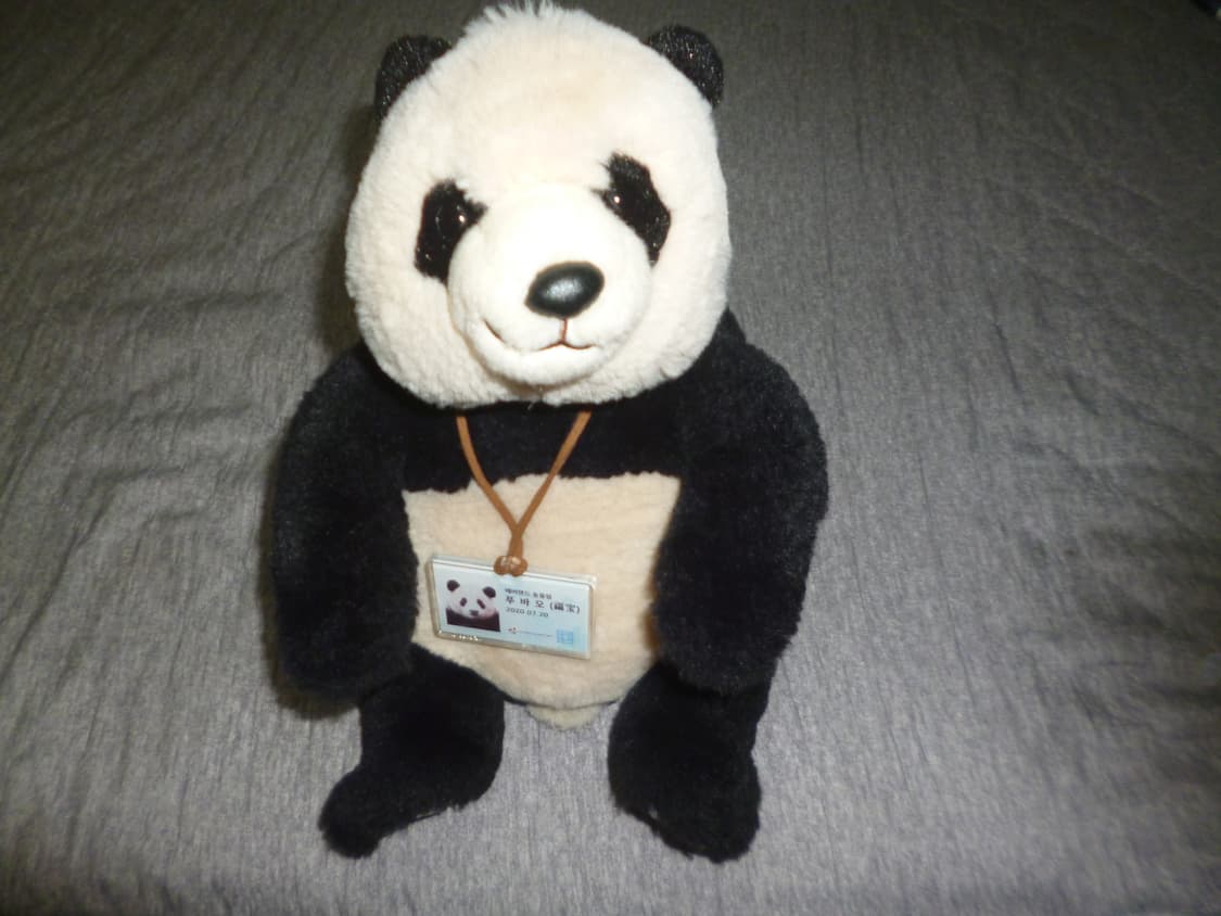 파나소닉 루믹스 DMC-FX80 보라색 디카 상품이미지10