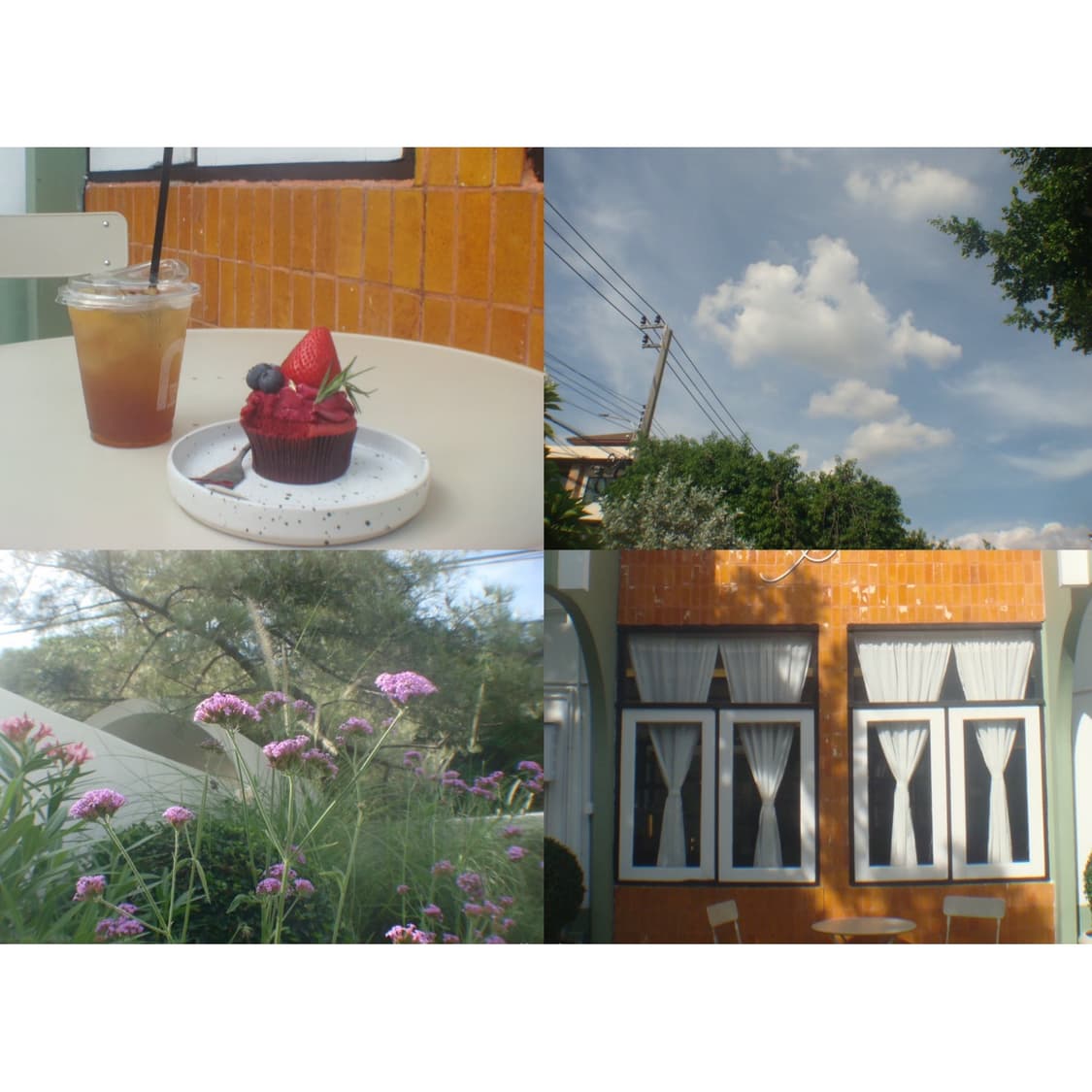 Sony 사이버샷 DSC-T100 ( 결과물 0) 상품이미지4