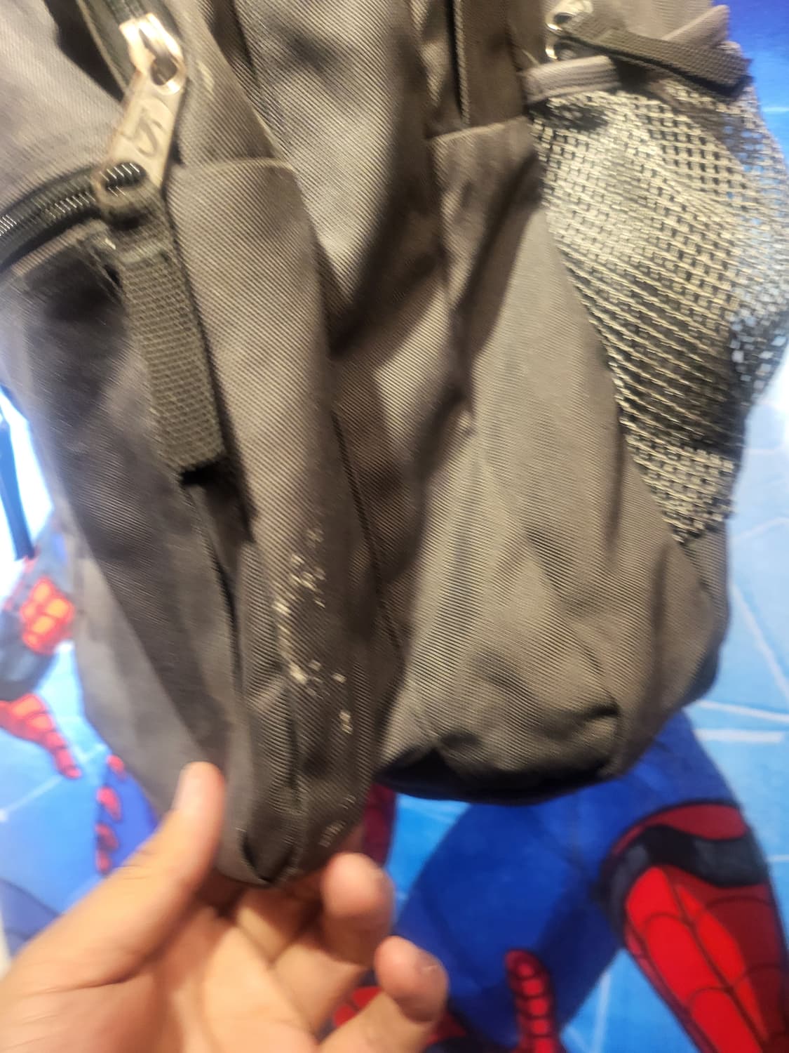 잔스포츠 백팩 그레이 Jansport 가방 상품이미지2