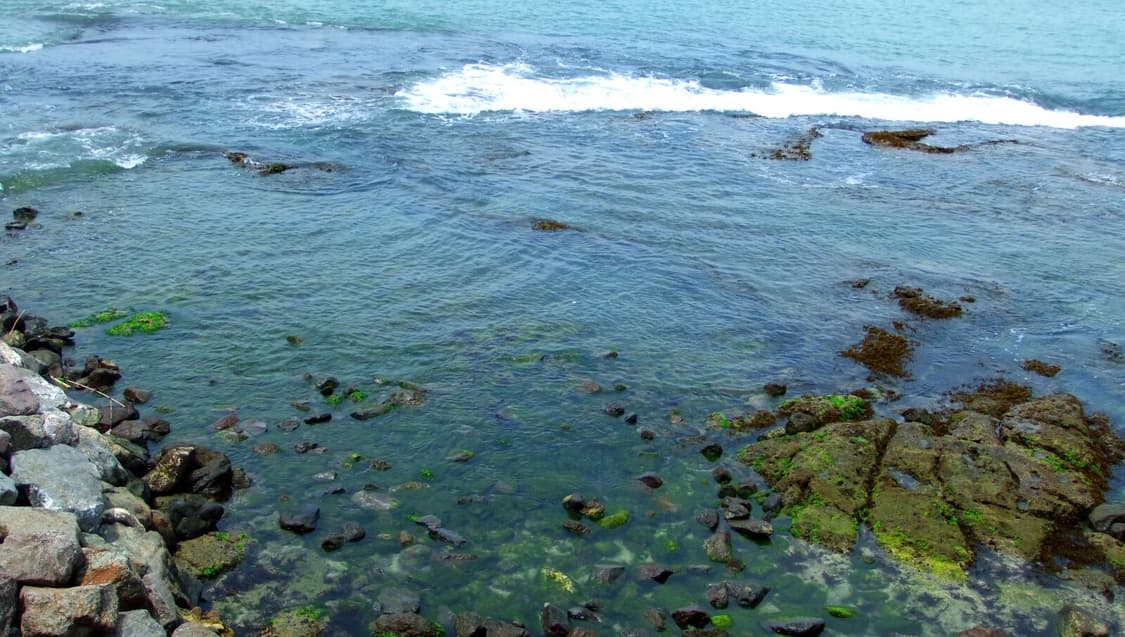 원희pick ✧･ﾟFujifilm 후지필름 파인픽스 f70exr 디카 상품이미지3