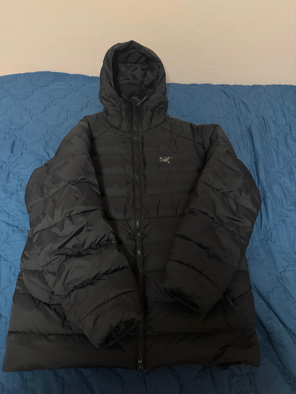 아크테릭스 토륨 후디 블랙 상품이미지1