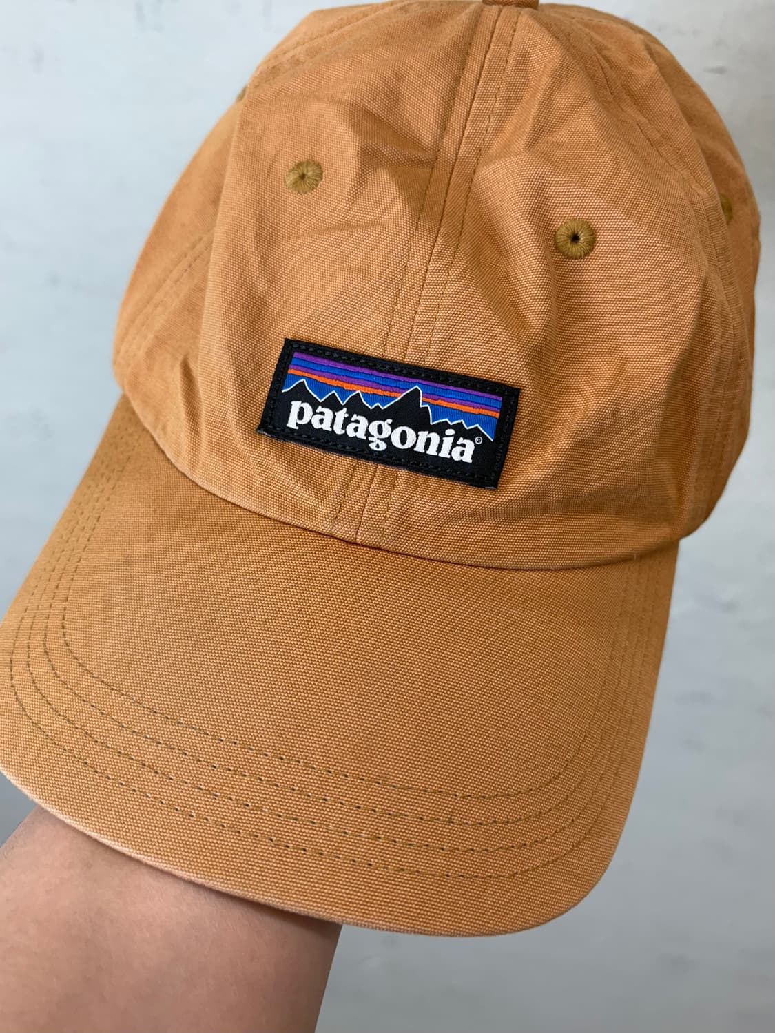 파타고니아 볼캡 상품이미지2