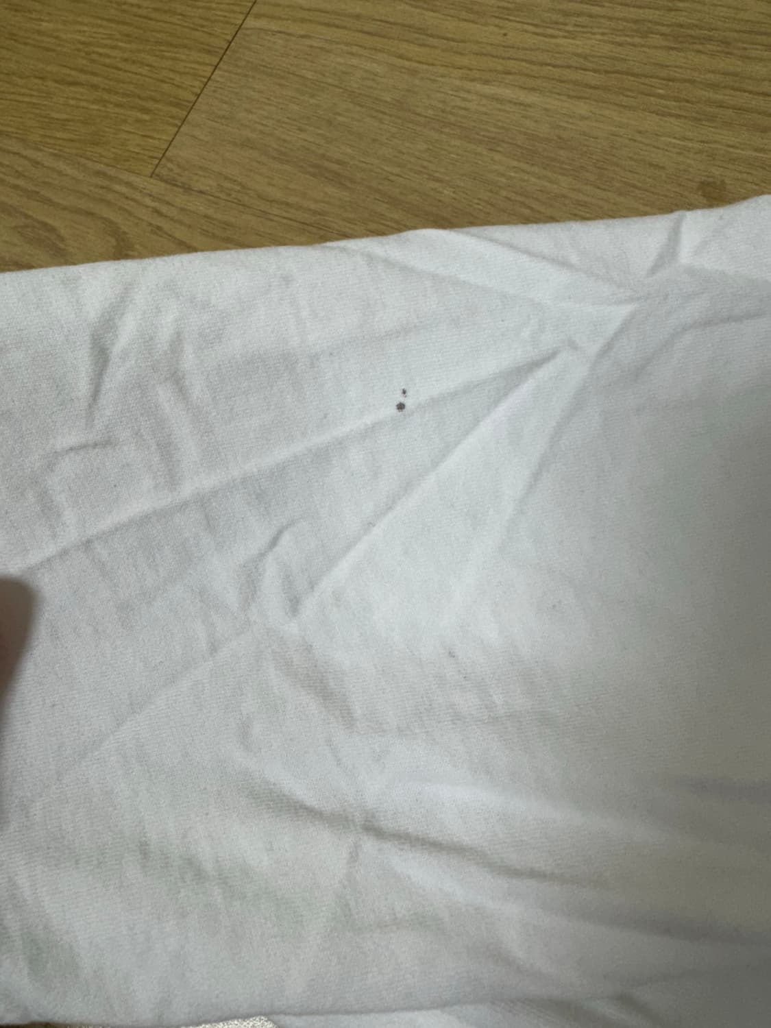 해칭룸 고스트 캣 티셔츠 화이트 1 상품이미지6