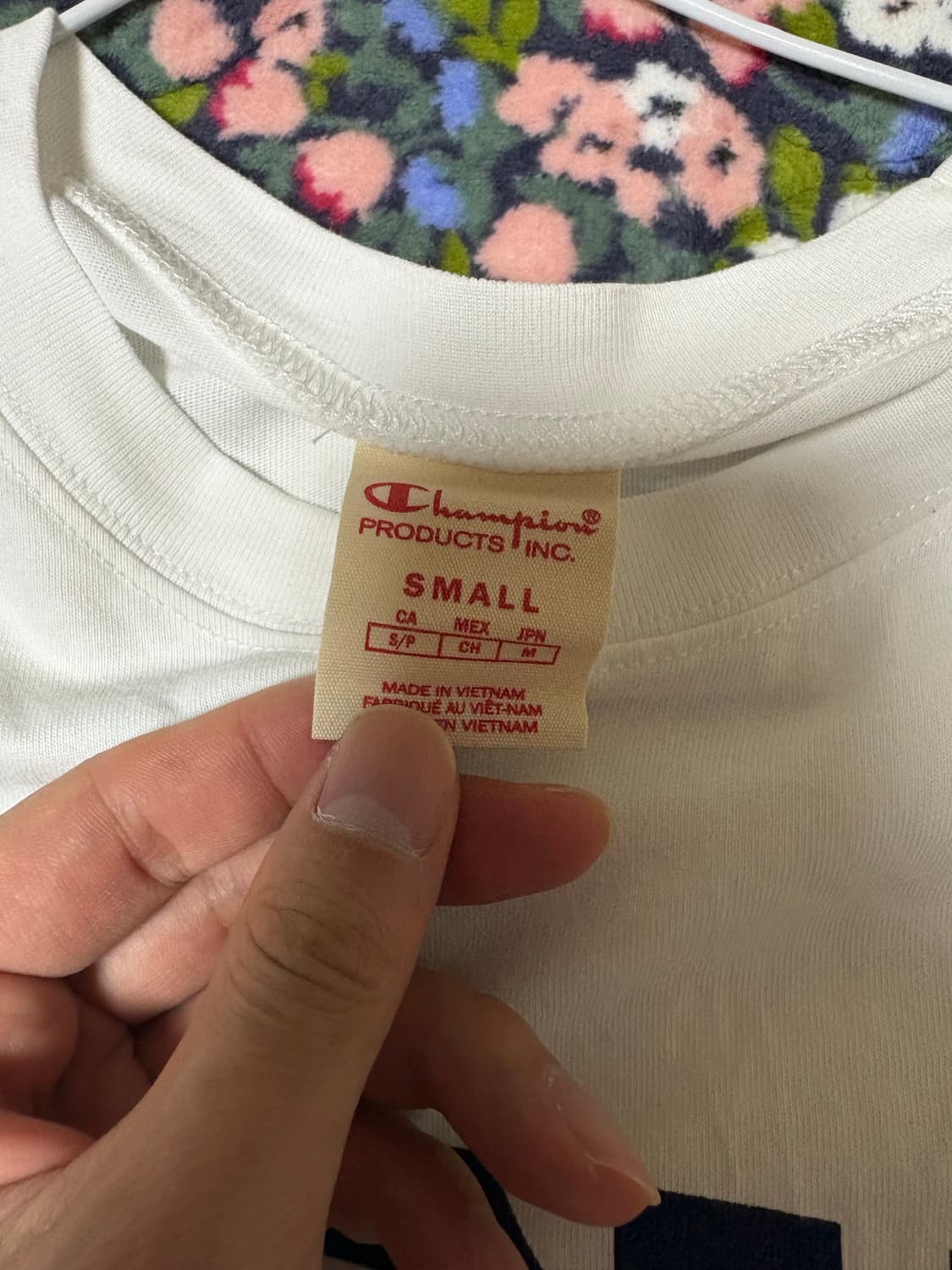 팔라스 x 챔피온 서울 반팔 화이트 상품이미지4