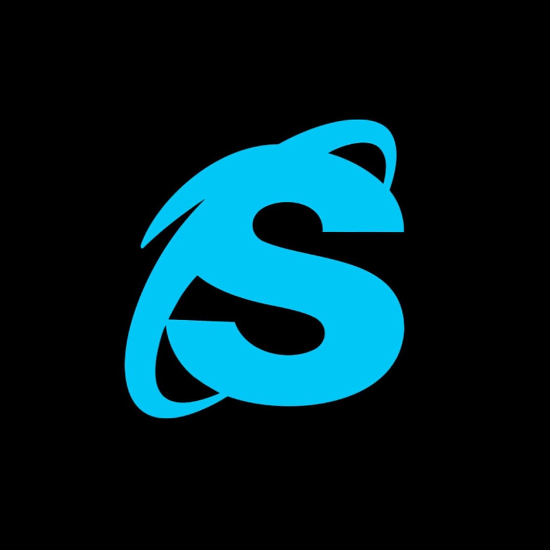 Ss hoodie 상품이미지1