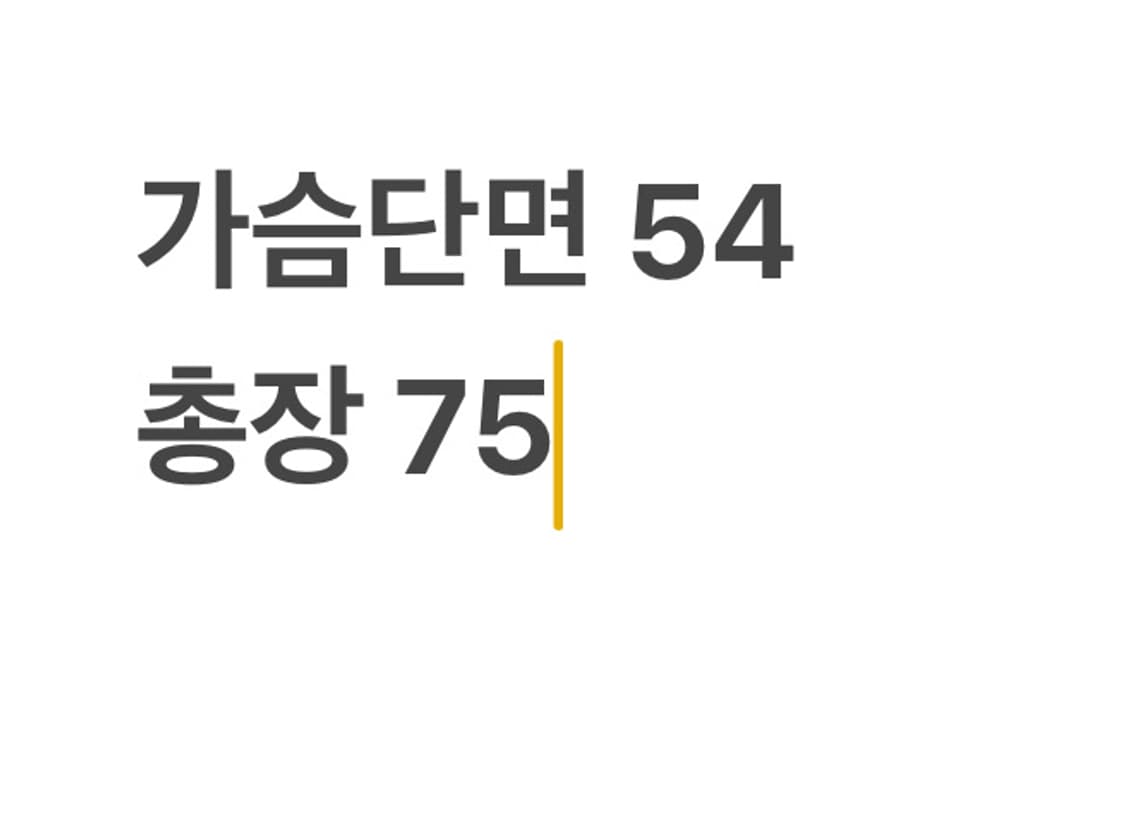 폴로랄프로렌 네이비 포켓 셔츠 상품이미지4