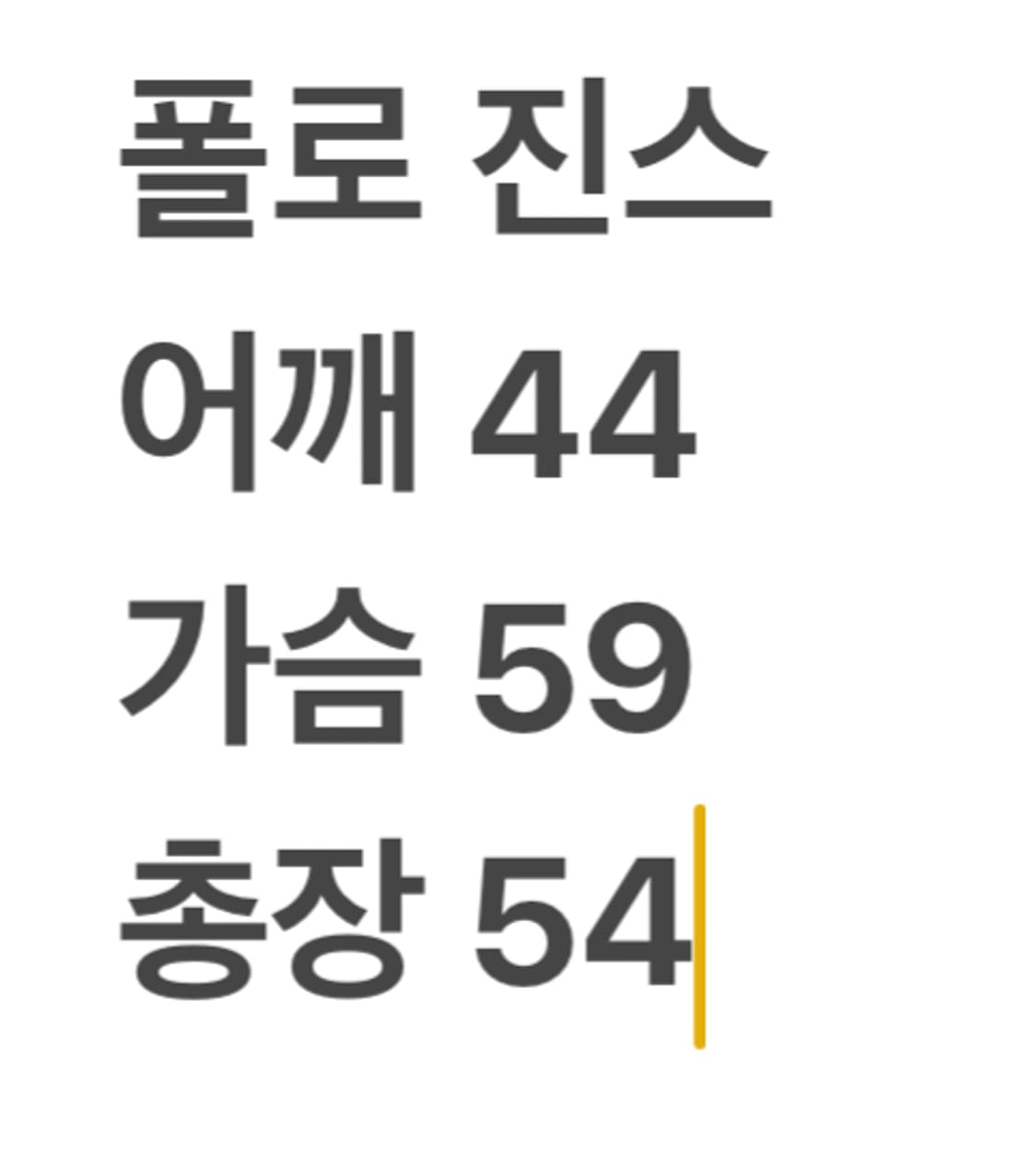 폴로 진스 패딩 상품이미지8