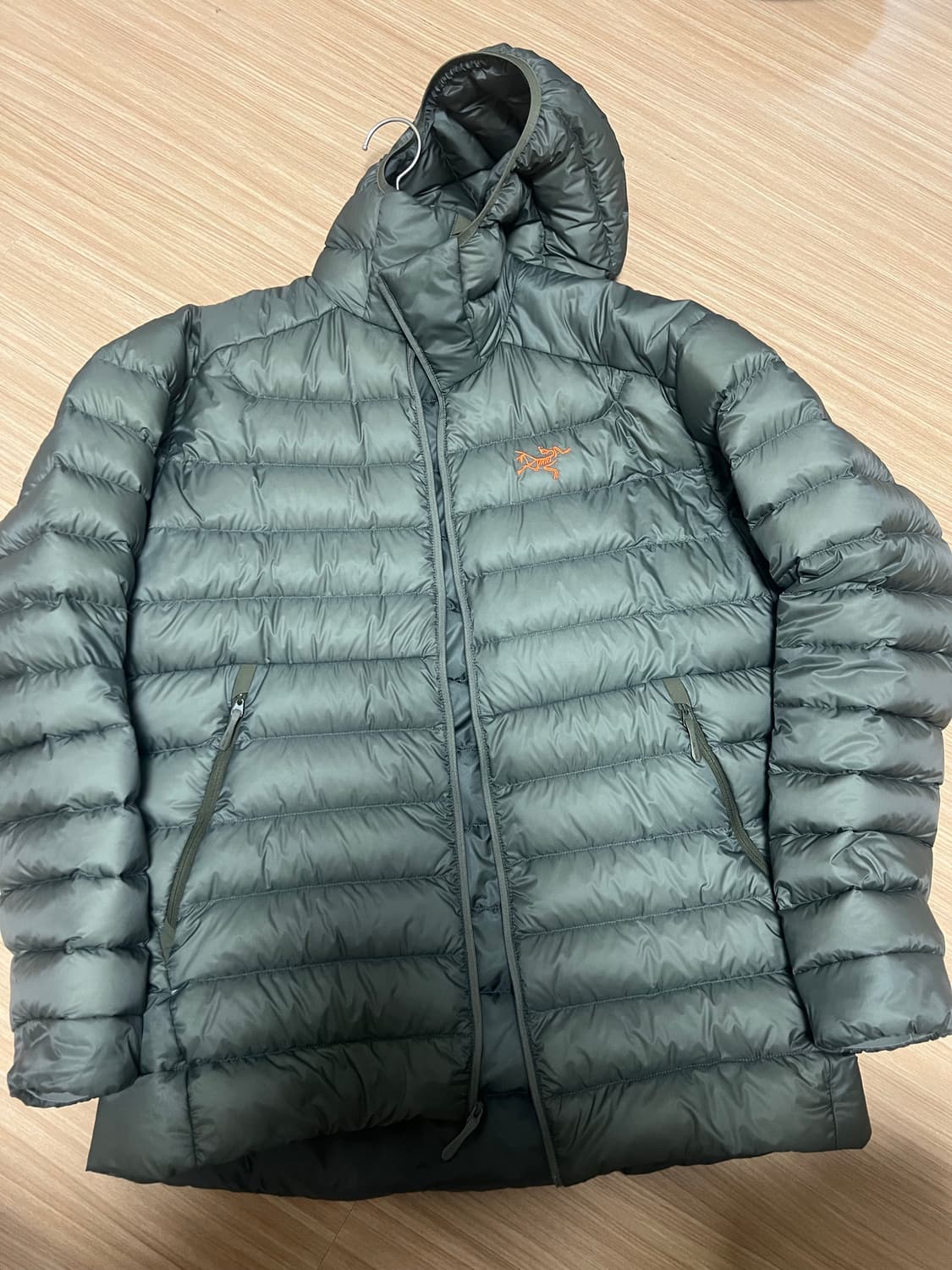 아크테릭스 세륨 후디 포리지 베르베 상품이미지1