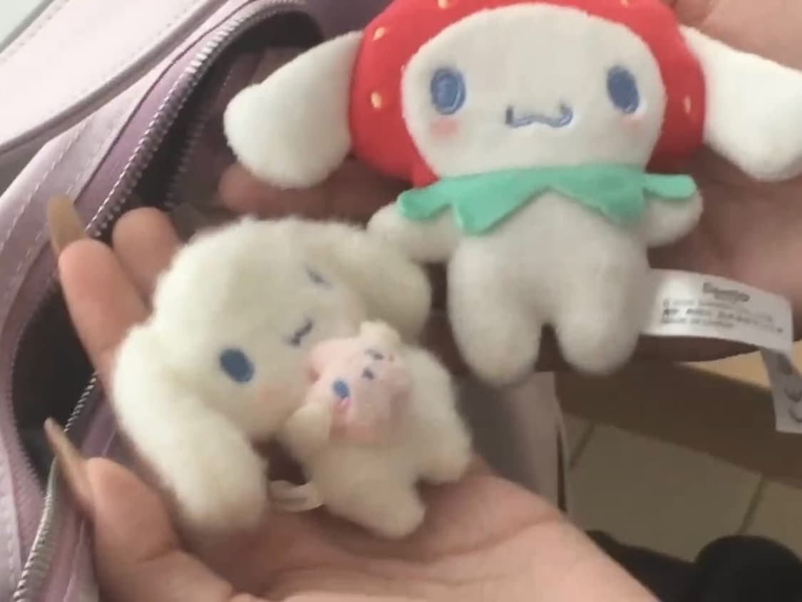 캐논 익서스70 ixus70 상품이미지10