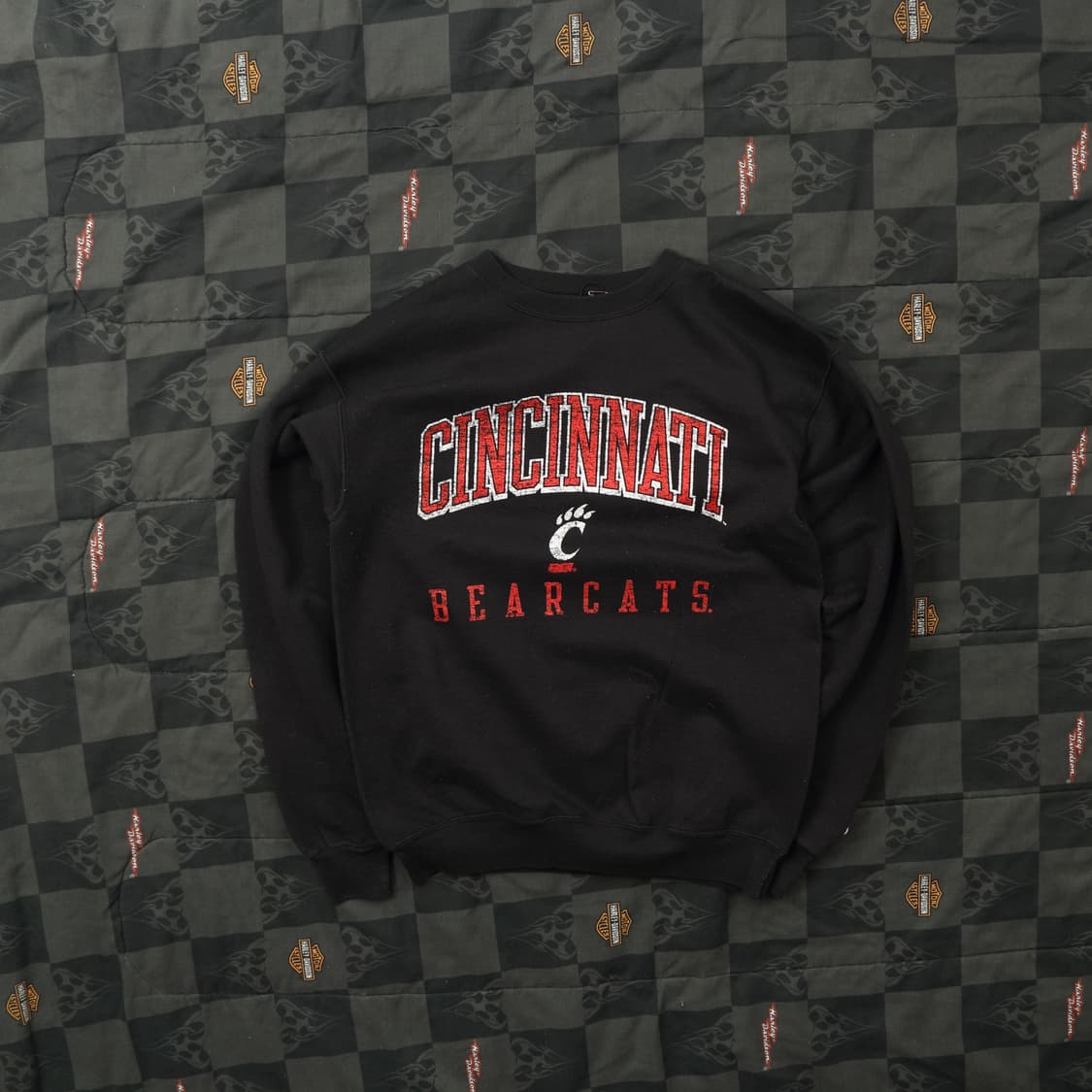 챔피온 스웻셔츠 우먼 L B109 상품이미지1