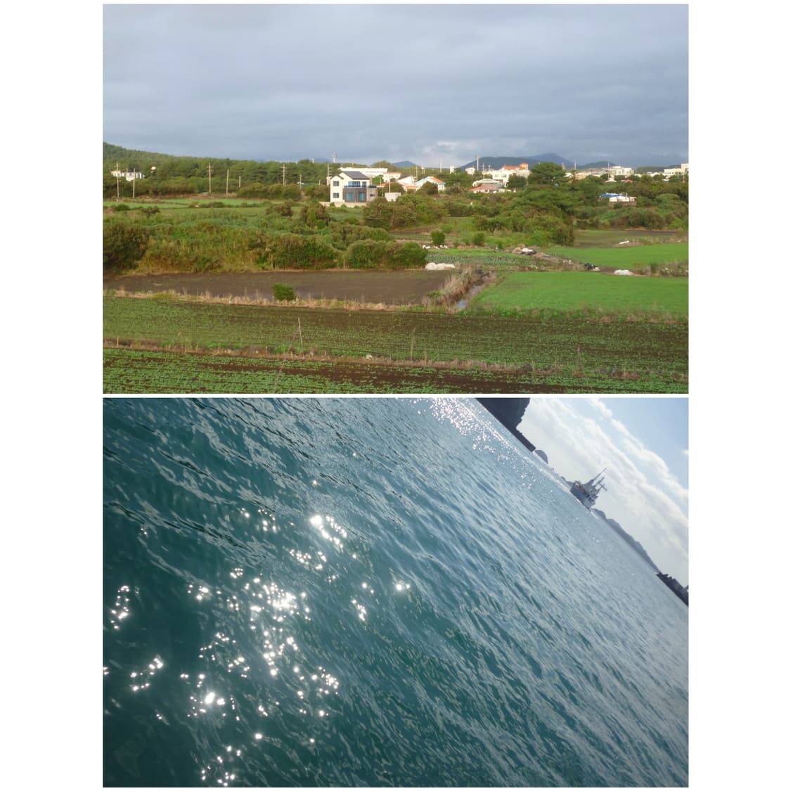 파나소닉 루믹스 S1 베이비블루 빈티지디카 상품이미지3