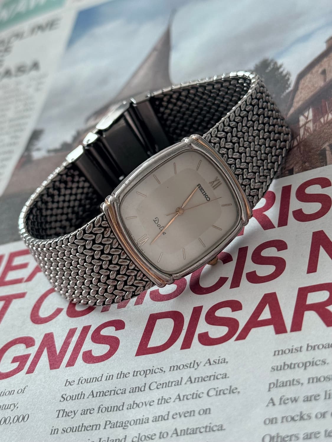 Seiko 세이코 쿼츠 Dolce 스퀘어 1988 상품이미지5