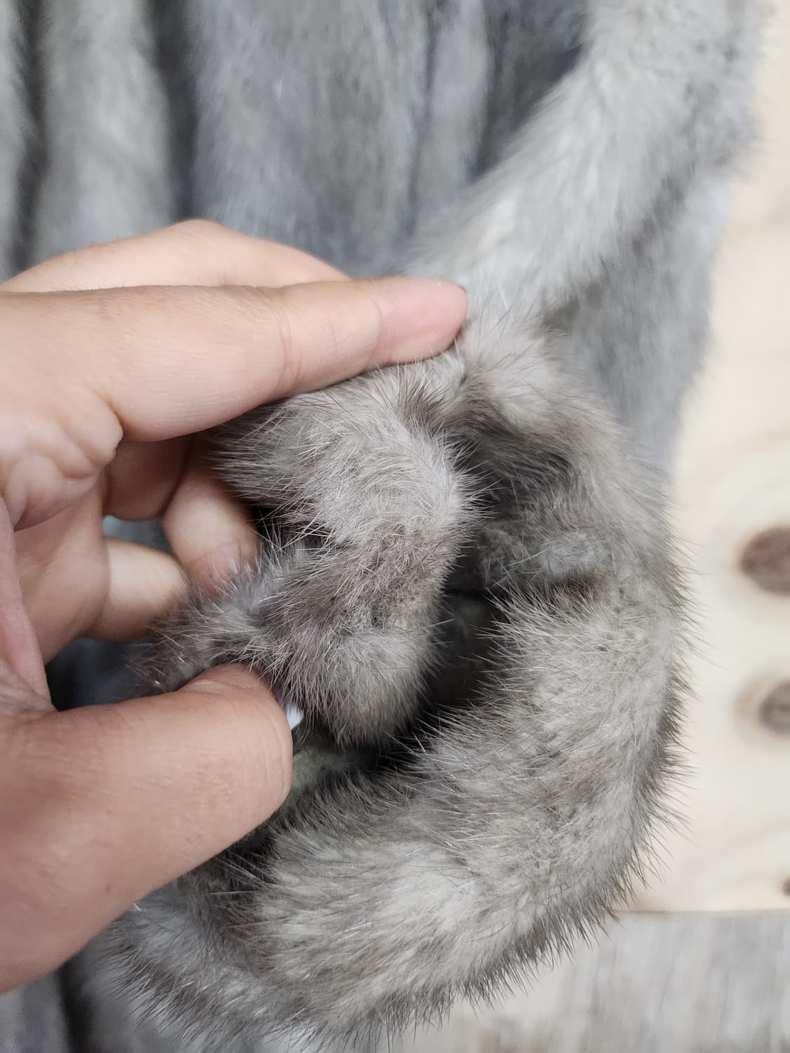 194) 로얄 사가 롱 밍크코트 상품이미지4