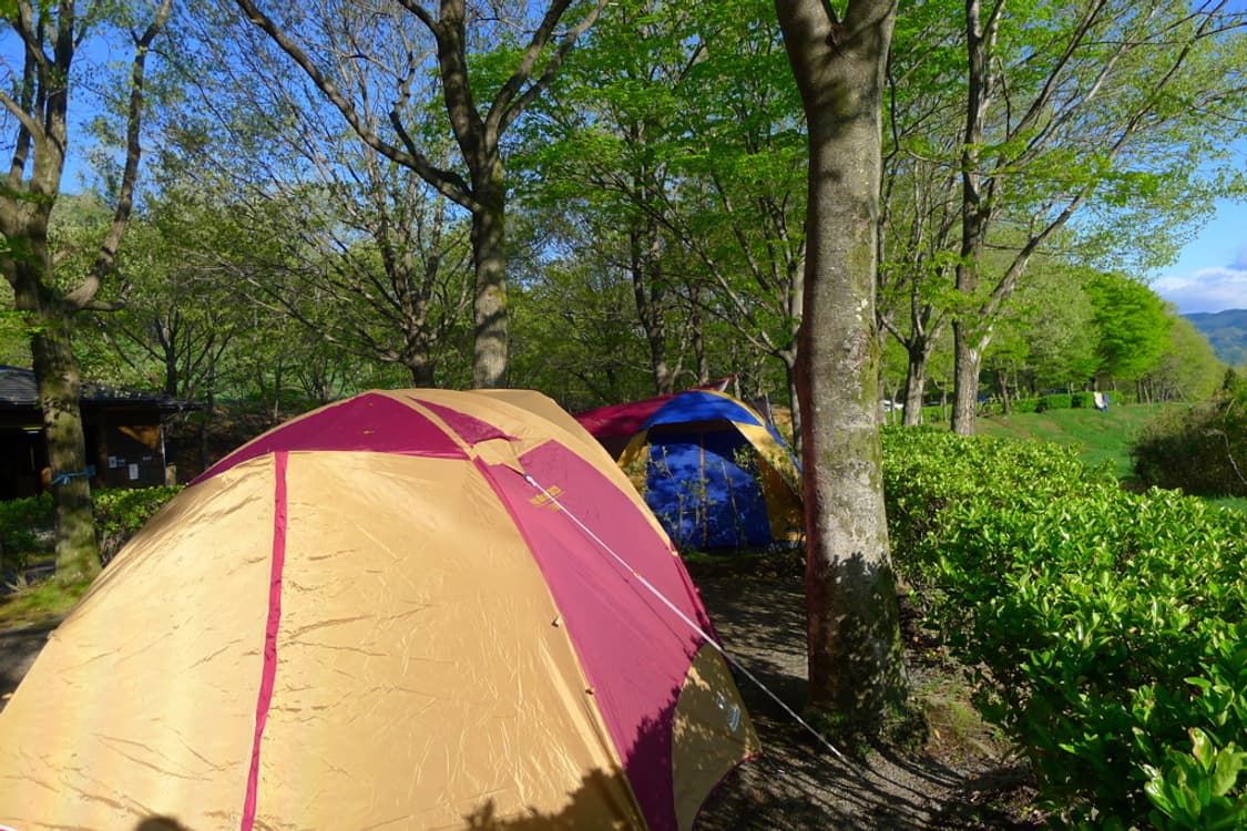 파나소닉 루믹스 Panasonic Lumix DMC-LX5 블랙 상품이미지3