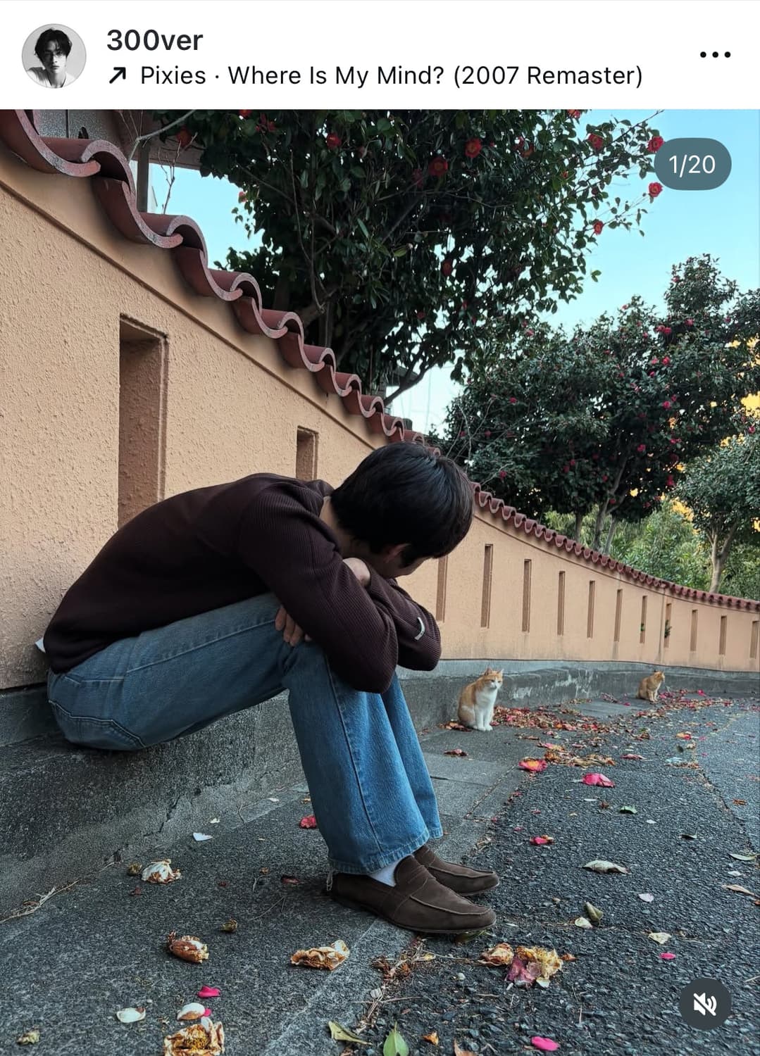 렉토 헨리넥 니트 브라운 L 팝니다 상품이미지1