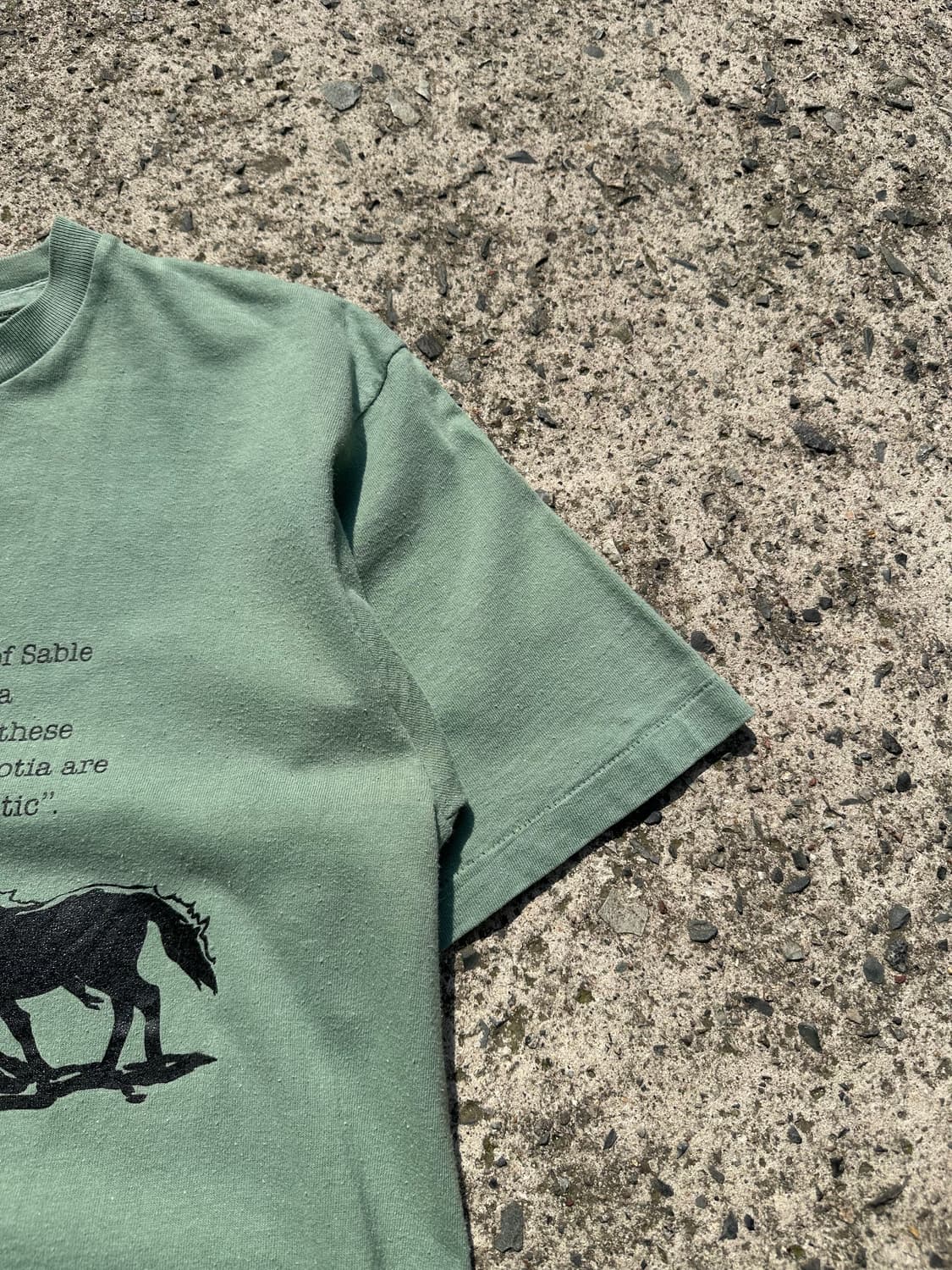 90’s Canada Gym master horse logo T 상품이미지5