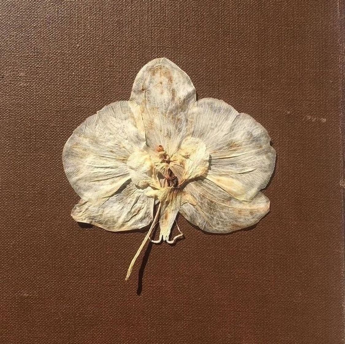 개인결제창 상품이미지1