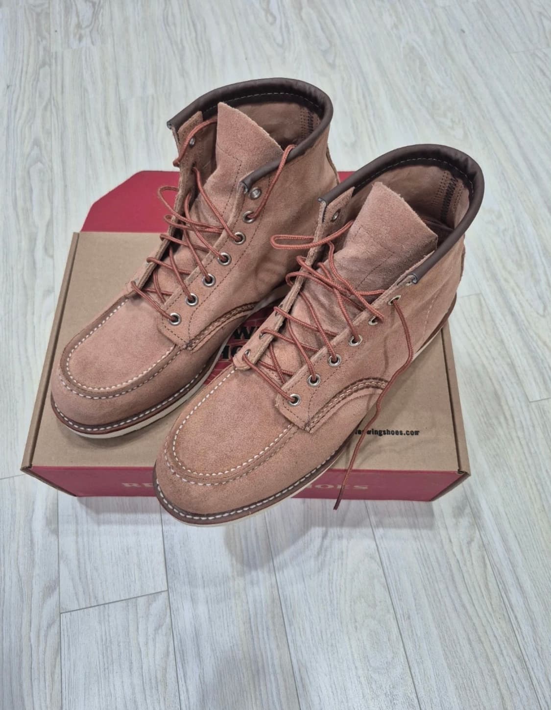 레드윙 8208 더스티로즈 270 상품이미지3