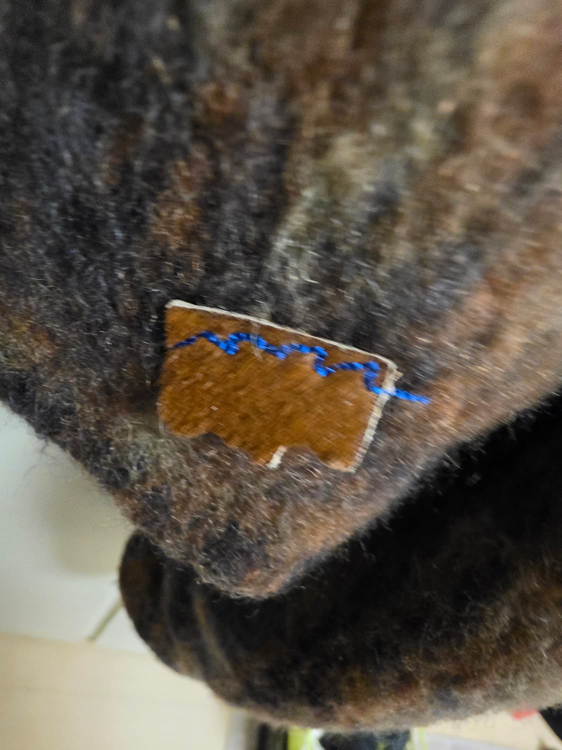 이더에러 체크 숏 블레이저 a1 상품이미지3